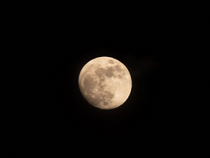 Réparation dégât des eaux Tassin-la-Demi-Lune